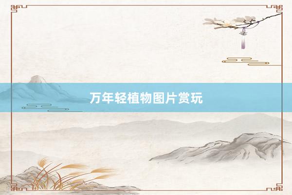 万年轻植物图片赏玩